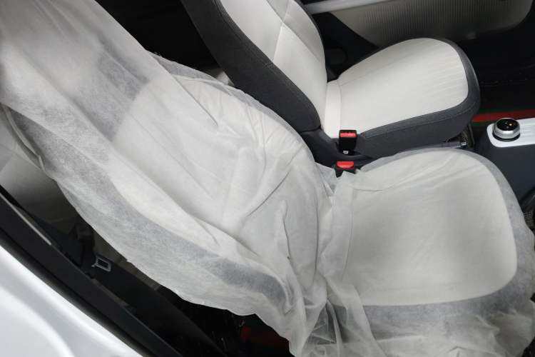 Used  Panda 2025 210 km – Yuanqi Bear
