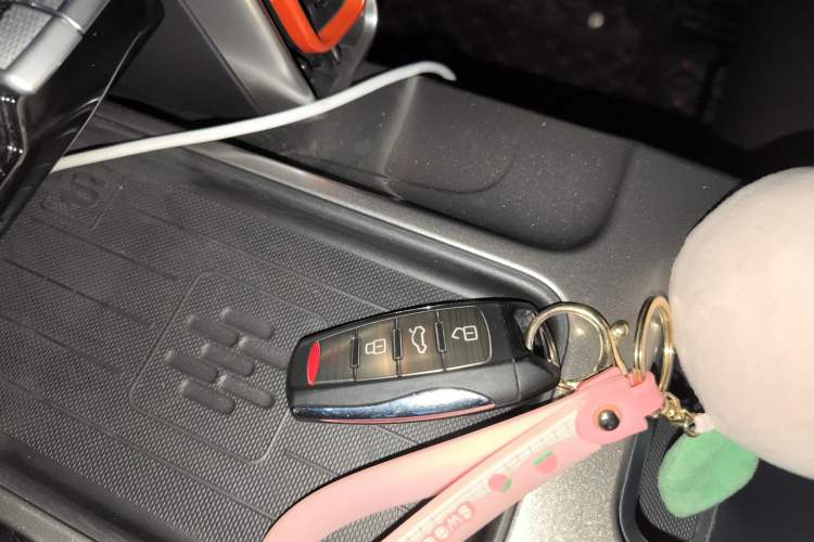 Used Haval DARGO 2021 1.5T DCT Two-Wheel Drive Labrador Edition
