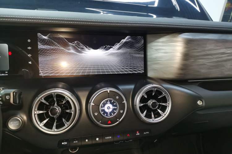 Used Tank 300 2024 2.0T Crosser
