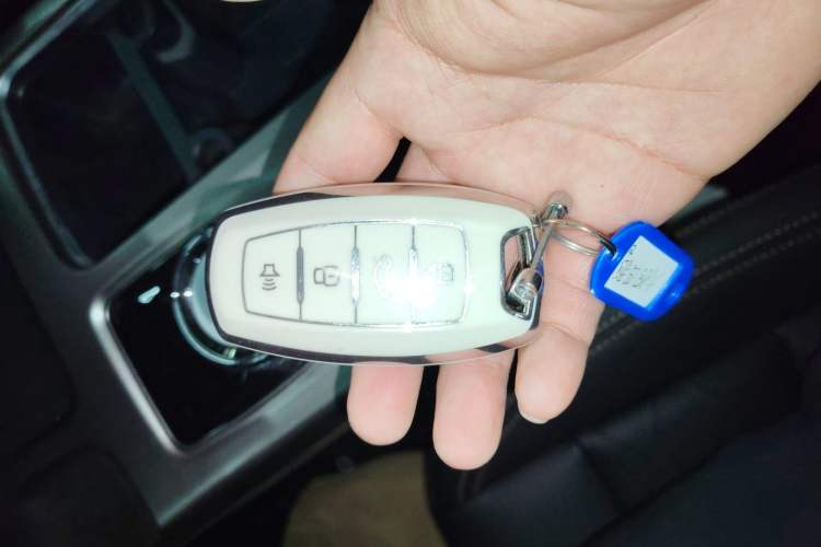 Used Haval DARGO 2024 2.0T DCT Chinese Rural Dog Edition
