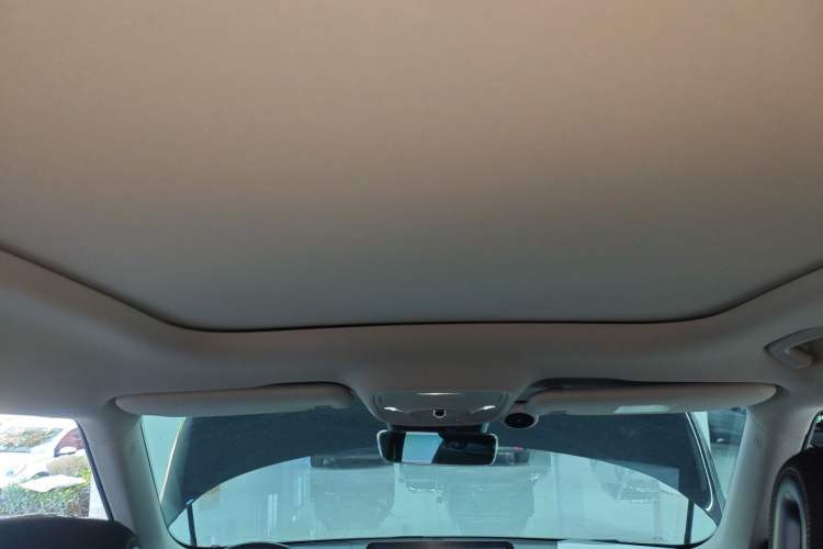 Used  #1 2023 Pro Edition