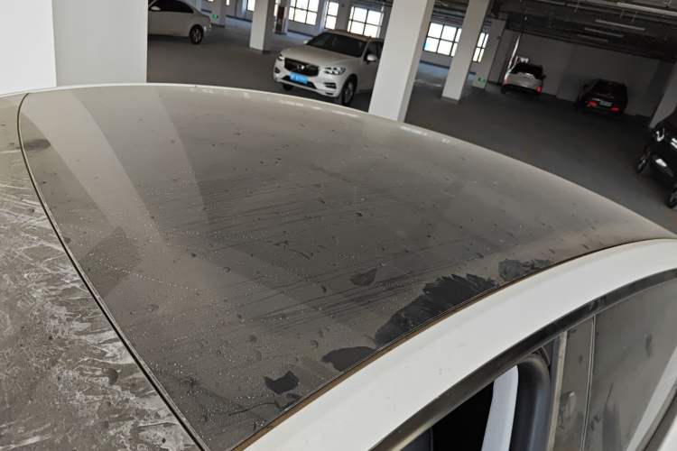 Used Tesla Model Y 2025 Rear-Wheel-Drive Version
