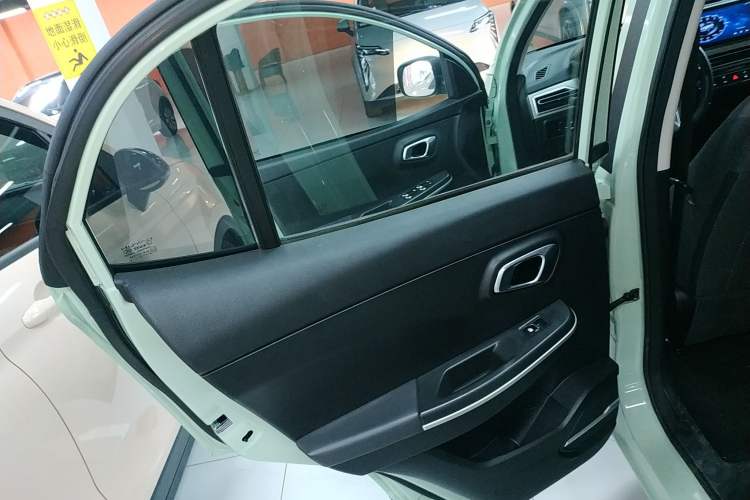 Used Dayun Yuehu 2022 30.66 kWh Two-Wheel Drive Standard Version
