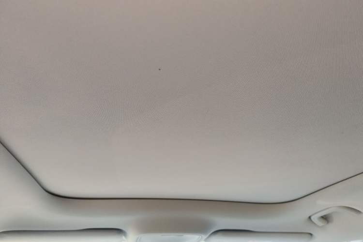 Used  #1 2022 Pulse Heartbeat Edition
