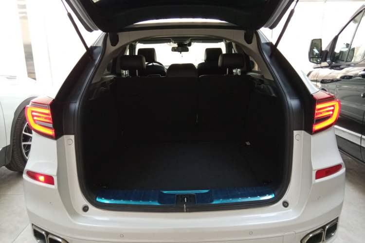 Used Honda Avancier 2020 240TURBO Two-Wheel Drive Premium Edition
