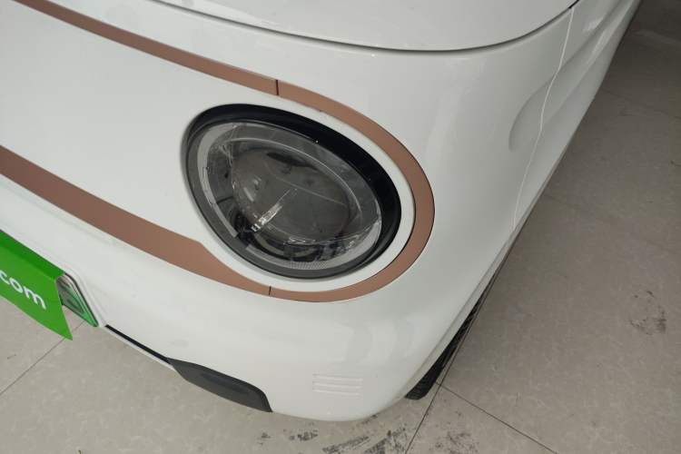 Used  Panda 2023 Panda Mini 200km Endurance Bear
