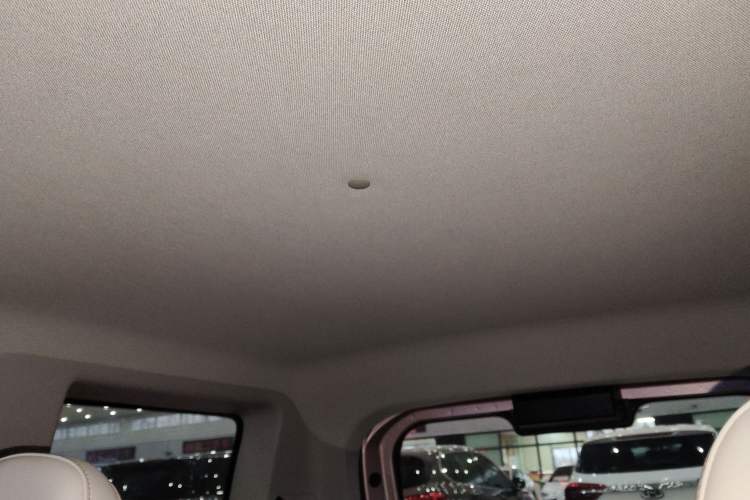 Used  Panda 2023 Panda Mini 200km Endurance Bear
