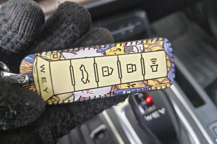 Used Wey VV5 2021 1.5T Two-Wheel Drive Smart Pioneer
