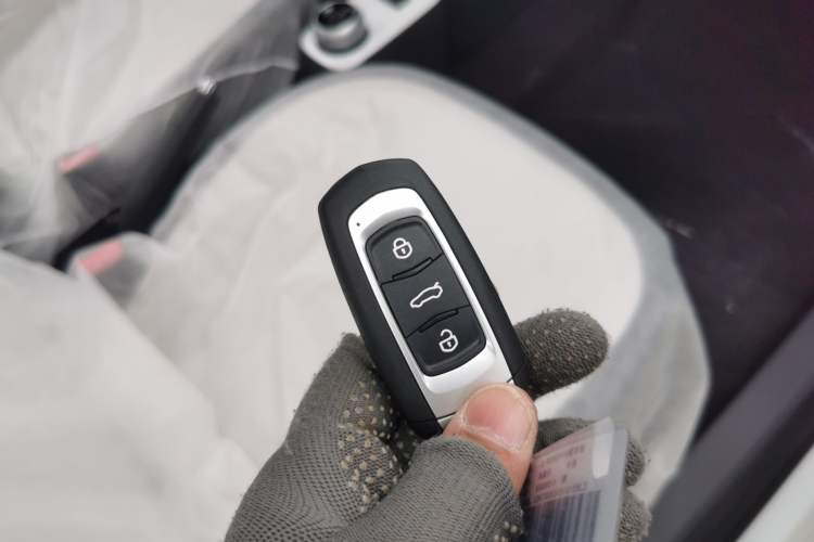 Used  Panda 2025 210 km – Yuanqi Bear
