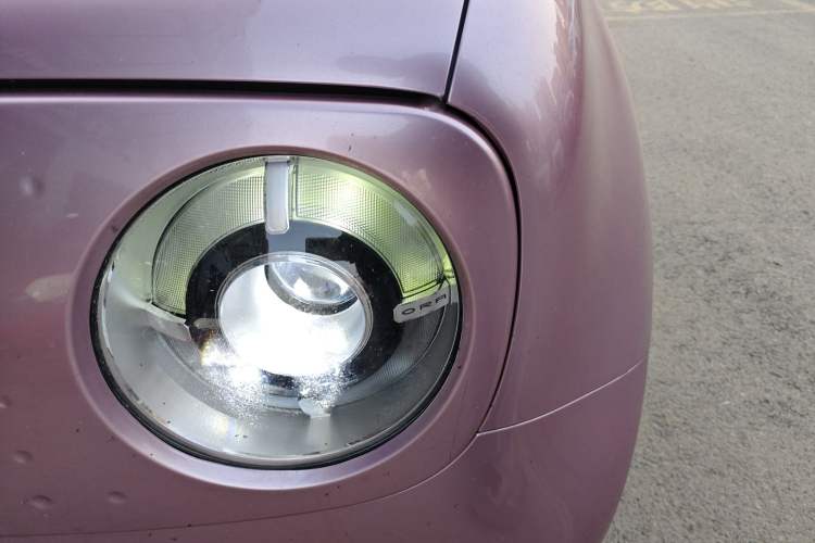 Used ORA Black Cat 2019 301km Standard Edition
