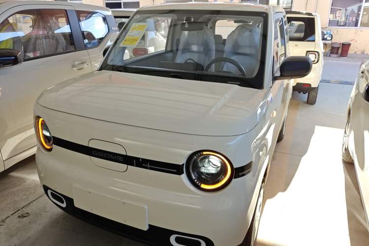 Used  Panda 2025 210 km – Yuanqi Bear
