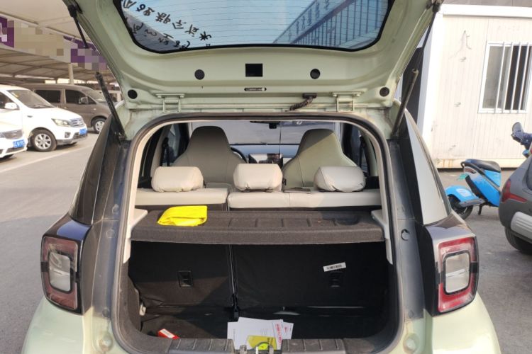 Used SOL E10X 2022 Flower Fairy Design Four-Leaf Clover
