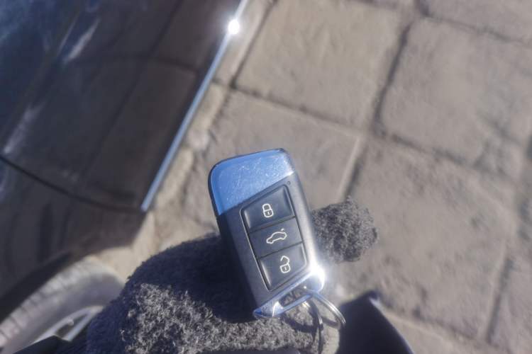 Used Volkswagen Passat 2023 Revised 330TSI Starry Elite Edition