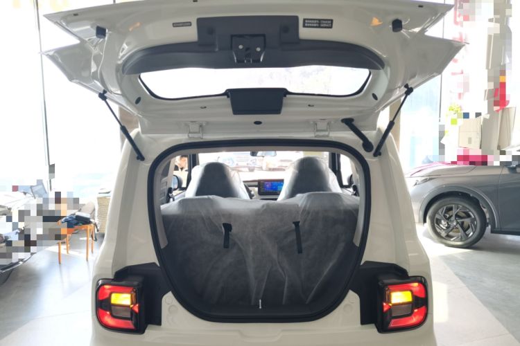 Used  Panda 2024 Panda Mini 200km Endurance Bear