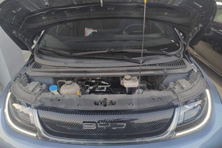 Used BYD Dolphin 2023 401km Knight Edition
