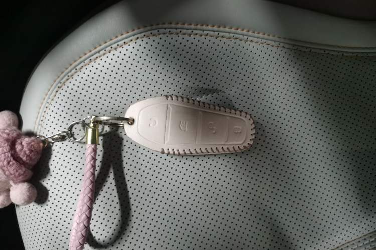 Used BYD Qin PLUS 2024 HONOR Edition DM-i 55KM Leading Model