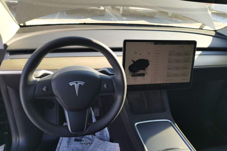 Used Tesla Model Y 2023 Long-Range All-Wheel-Drive Version
