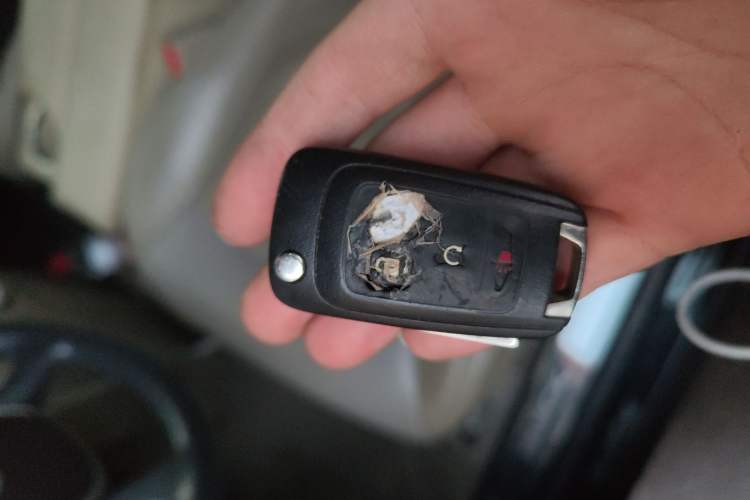 Used Buick GL8 2017 25S Luxury Version China V Standard