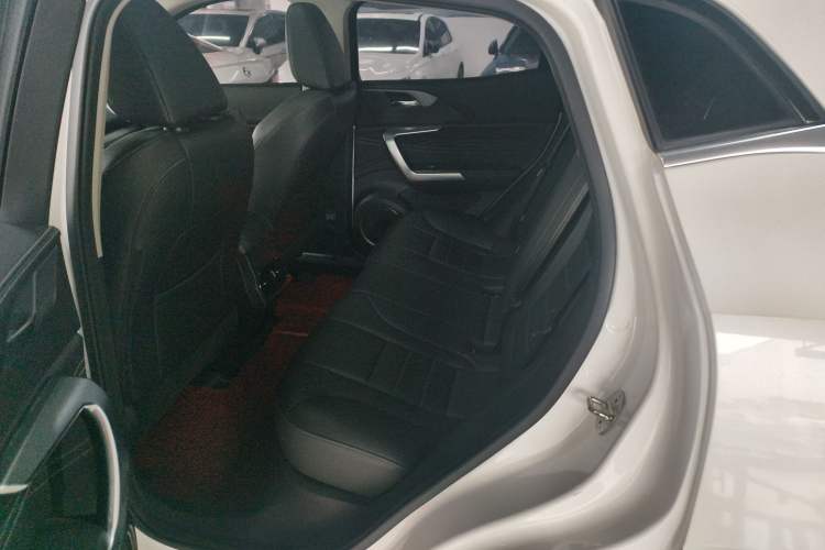 Used Wey VV5 2020 1.5T Two-Wheel Drive Color Pioneer
