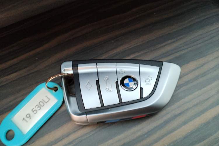 Used BMW 5 Series 2019 530Li Leading Model Luxury Package