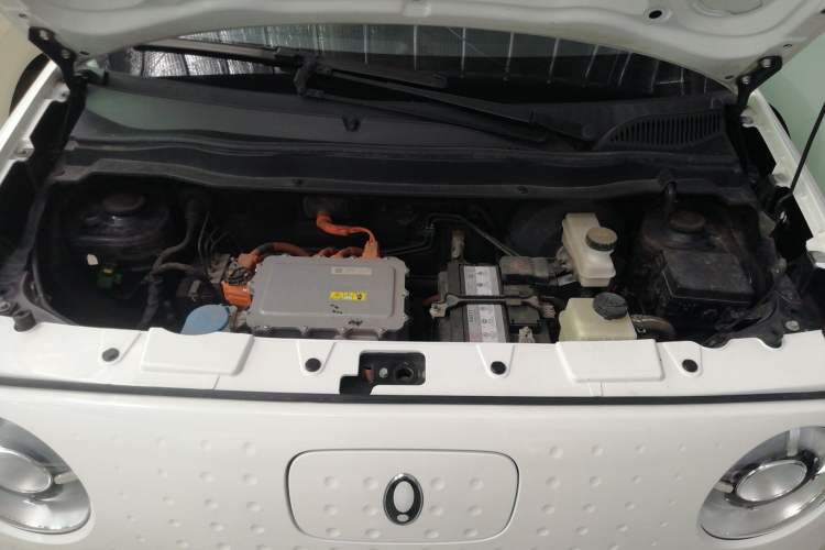 Used ORA Black Cat 2021 351 km Standard Version