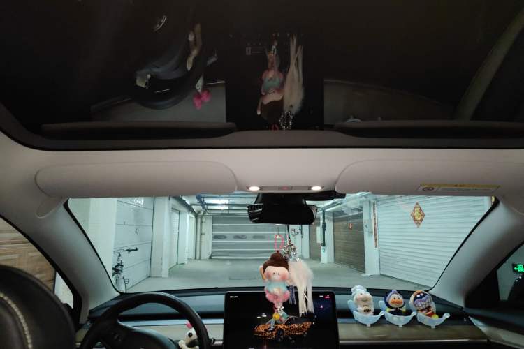 Used Tesla Model 3 2022 Rear-Wheel-Drive Version