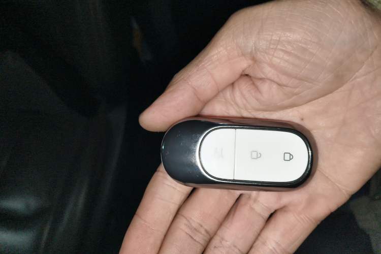 Used Leapmotor C11 2023 Range-Extended 180 Comfort Edition