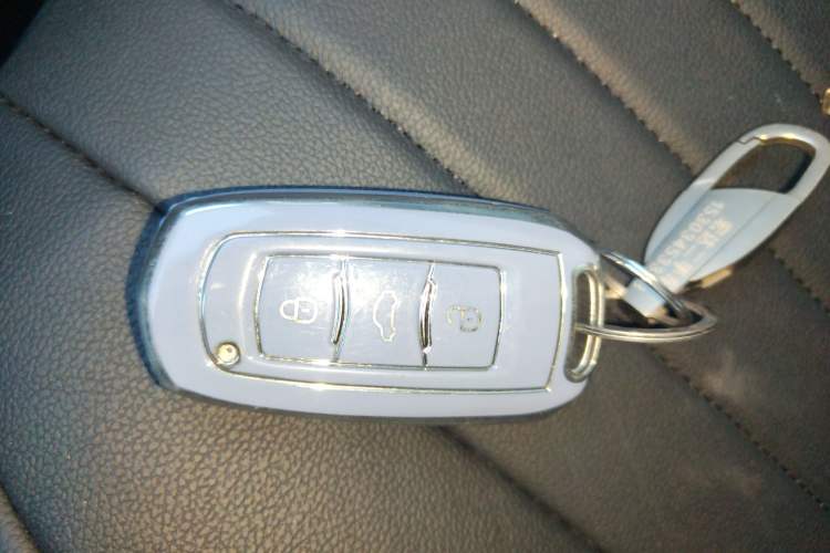 Used  Panda 2025 210 km – Yuanqi Bear
