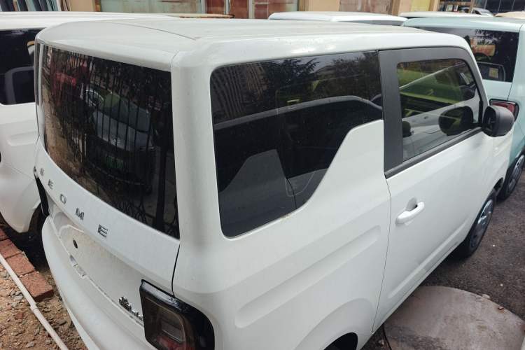 Used  Panda 2024 Panda Mini 200km Endurance Bear
