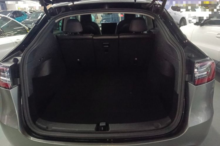 Used Tesla Model Y 2021 Standard Range Rear-Wheel Drive Version
