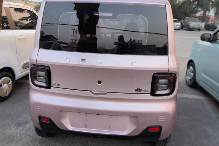 Used  Panda 2023 Panda Mini 200km Endurance Bear
