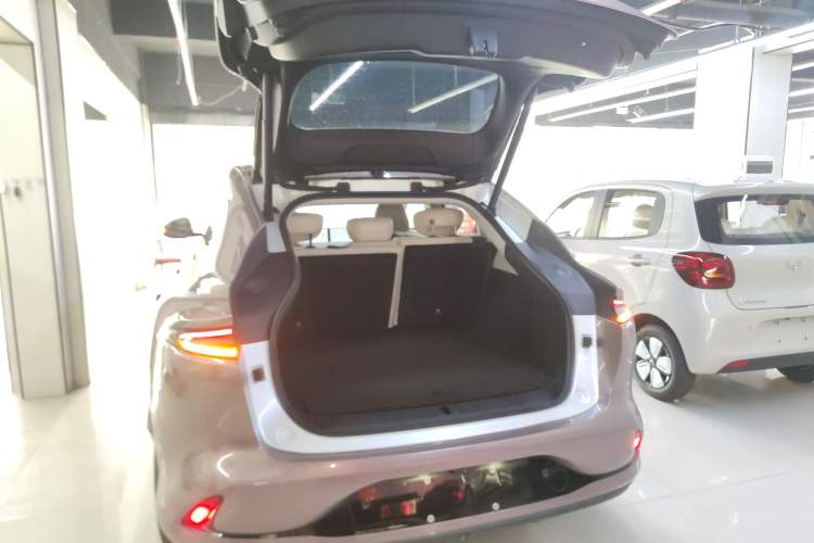 Used  LS6 2023 Max Long-Range Version
