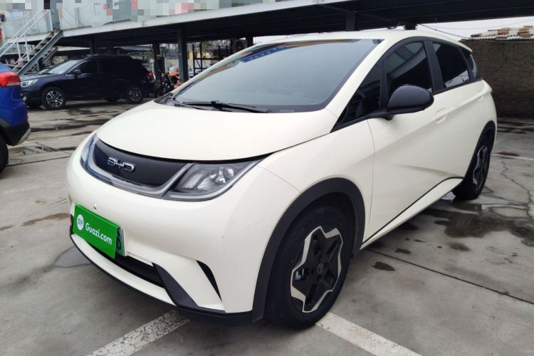 Used BYD Dolphin 2021 405 km Free Version
