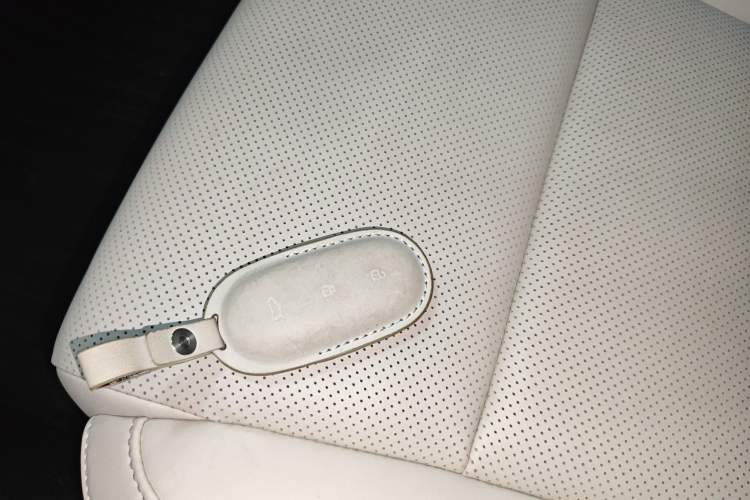 Used Li Auto L6 2024 Max
