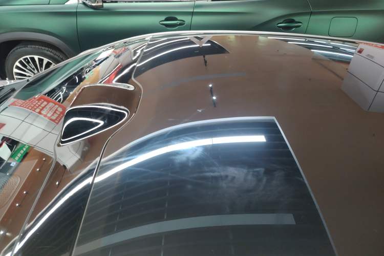 Used  06 2025 Max Extended-Range Edition