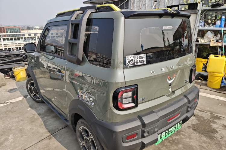 Used  Panda 2024 200km Panda Rider
