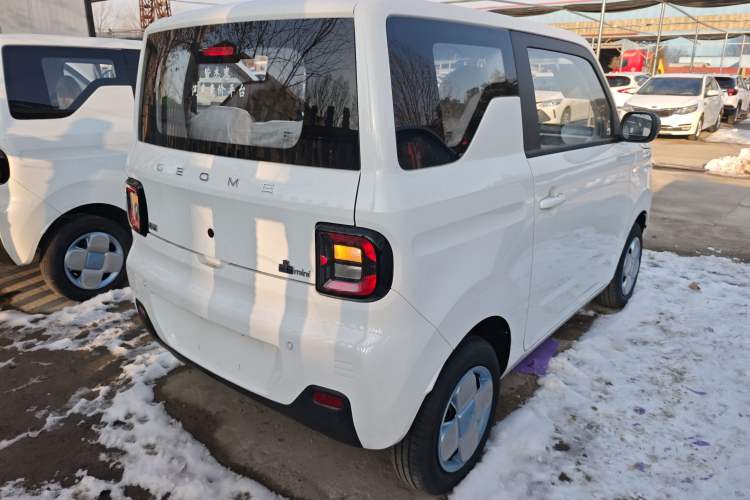 Used  Panda 2024 Panda Mini 200km Endurance Bear