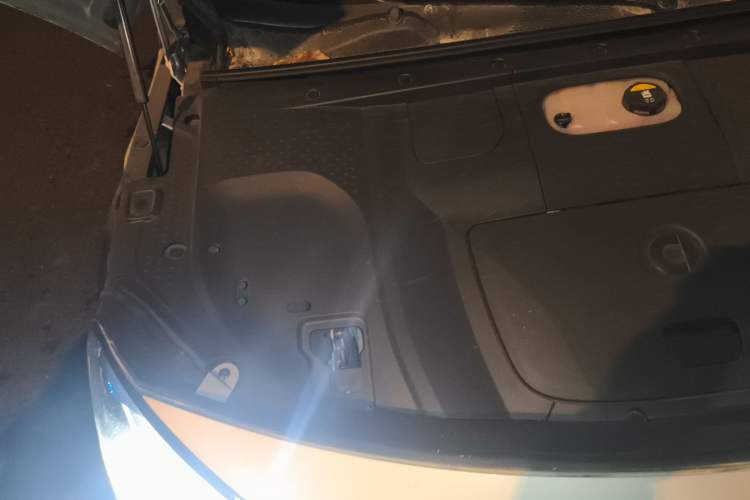 Used  #1 2023 Pro Edition