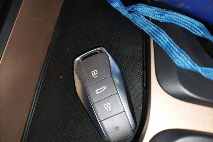 Used SOL E10X 2022 Flower Fairy Design Dandelion
