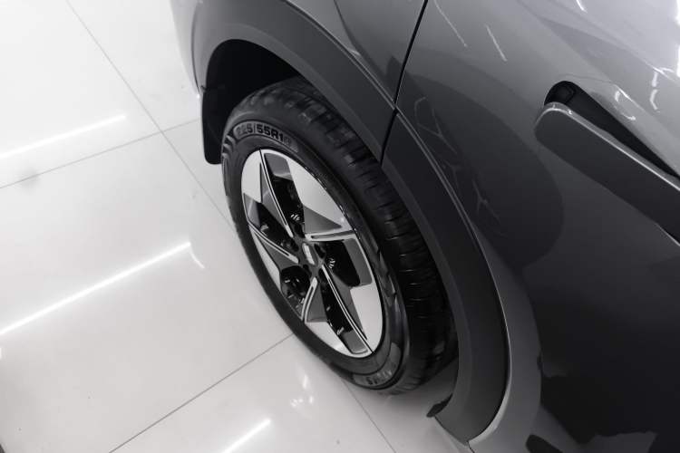 Used  E5 2024 440km Launch Edition
