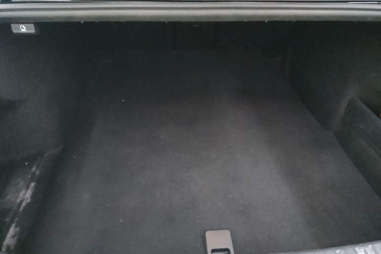 Used Volkswagen Magotan 2020 330TSI DSG Luxury Edition