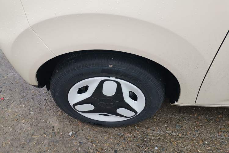 Used  Panda 2025 210 km – Yuanqi Bear
