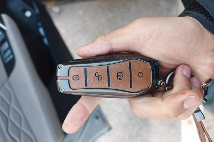 Used BYD Tang New Energy 2025 DM-i 115KM Prestige Model