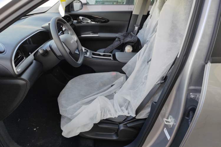 Used  Geome 2025 310km Youth Edition
