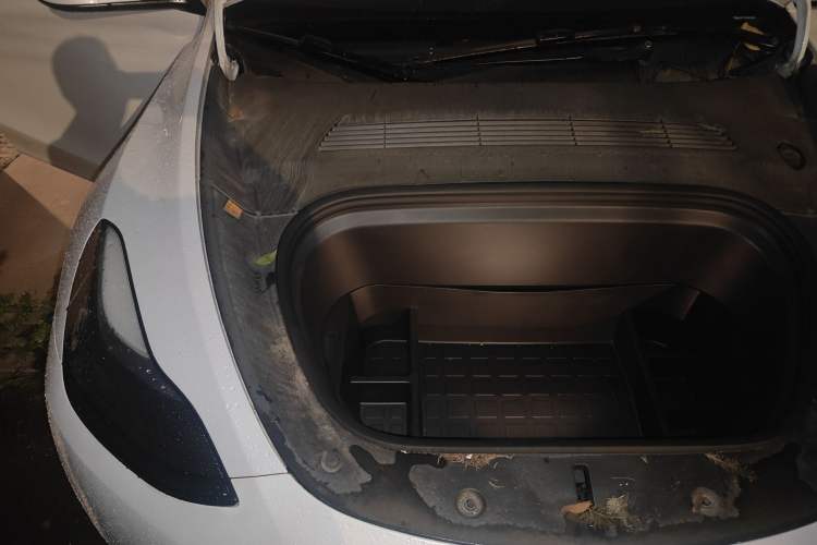 Used Tesla Model Y 2021 Standard Range Rear-Wheel Drive Version
