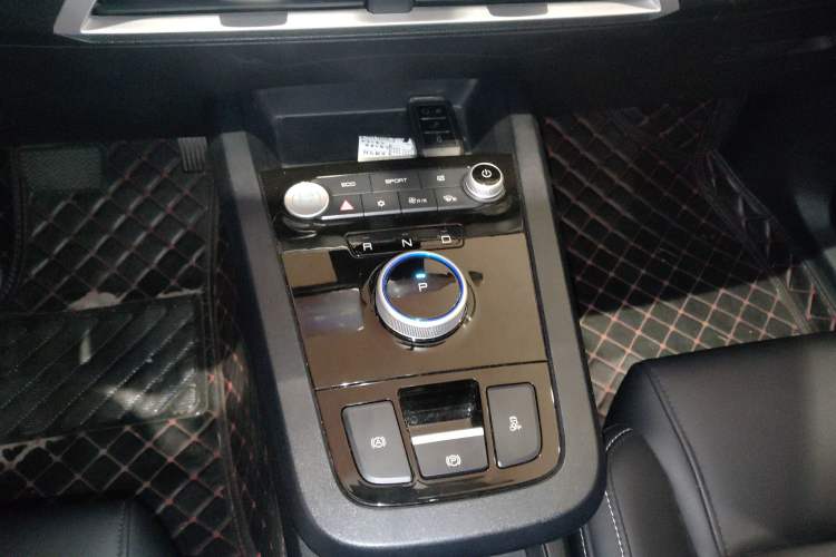 Used BYD e2 2019 Long-Range Version Yao·Luxury Trim
