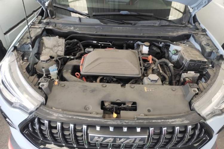 Used Haval LHERY 2022 1.5L DHT King Rabbit
