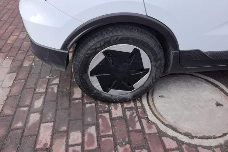 Used Geometry E Firefly 2024 401km Starlight