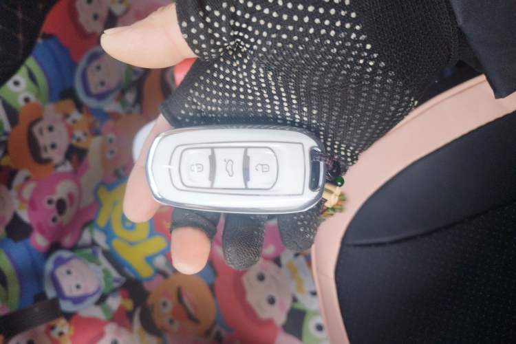 Used  Panda 2025 210km Panda Kart
