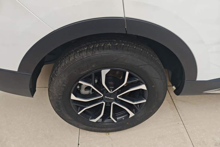 Used Haval H6 2023 National Trend Edition 1.5T Automatic Urban Version
